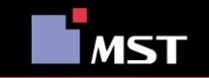 MST  회사 Logo